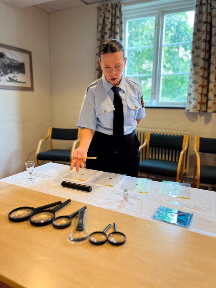 Mysterieaktivitet herregårdsmord