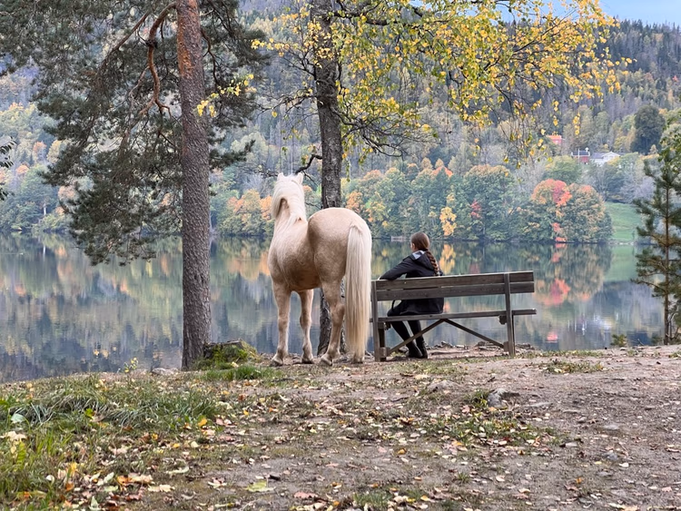 Sti langs Semsvannet i Asker
