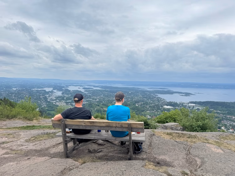 Utsikt fra Skaugumsåsen