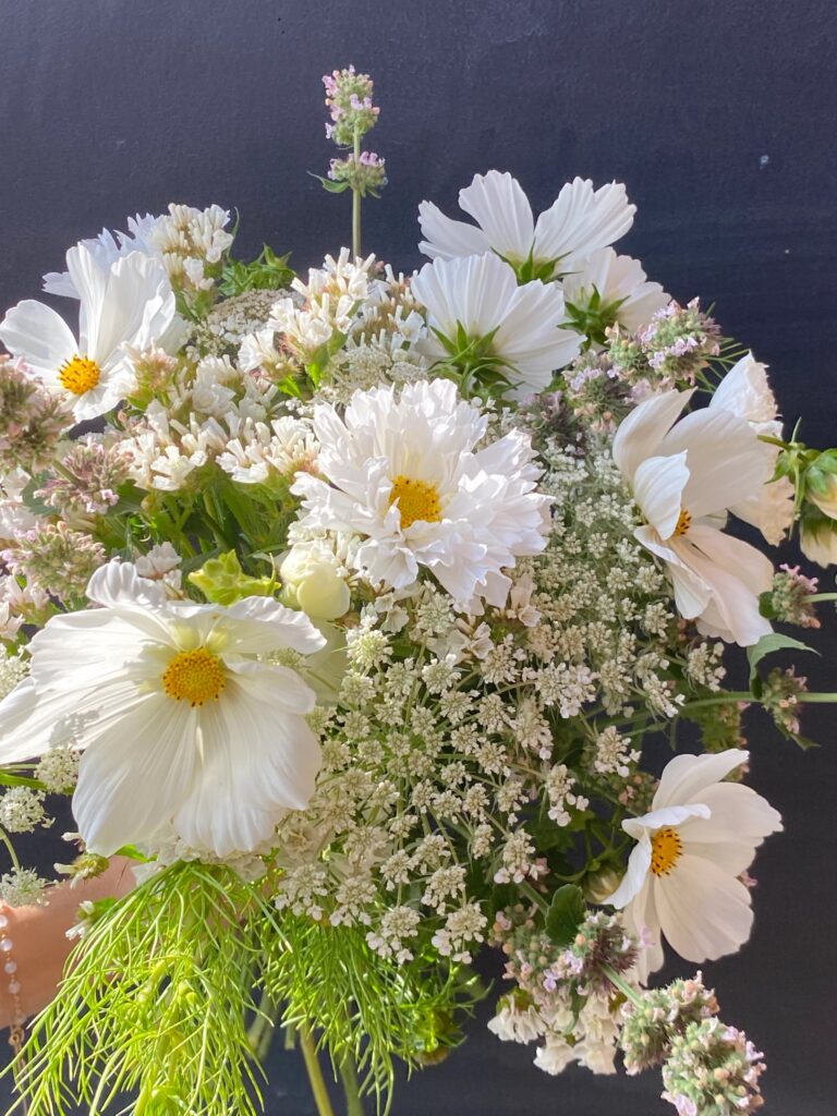 Fiori blomster